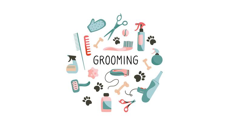 Verzorgingsgereedschap en pootafdrukken in een cirkelpatroon. Grafisch ontwerp.