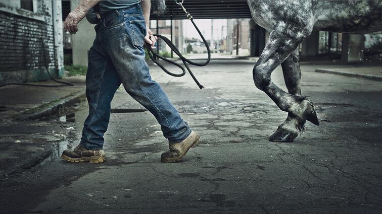 Man loopt met paard door stadsstraat, jeans en bruine laarzen.
