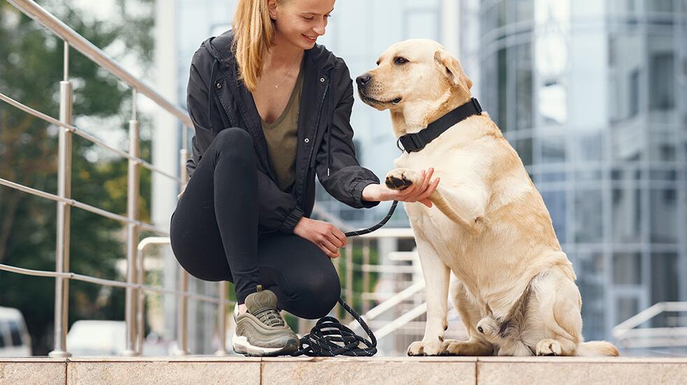 Vrouw in sportkleding aait zittende labrador retriever buiten.
